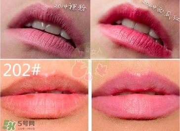 紀(jì)梵希細(xì)管小牛皮色號 紀(jì)梵希細(xì)管小牛皮試色