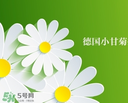 賀本清護(hù)手霜鐵盒真假 德國(guó)herbacin鐵盒小甘菊護(hù)手霜真假 賀本清護(hù)手霜鐵盒真假 德國(guó)herbacin鐵盒小甘菊護(hù)手霜真假