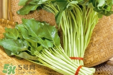 冬天可以吃空心菜嗎？冬天排毒多吃空心菜