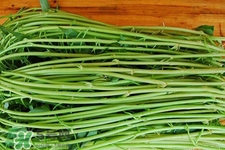 冬天可以吃空心菜嗎？冬天排毒多吃空心菜