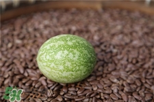 吊瓜子的營養(yǎng)價(jià)值 吊瓜子的功效與作用 吊瓜子的營養(yǎng)價(jià)值 吊瓜子的功效與作用