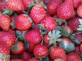 孕婦冬天能吃草莓嗎？孕婦冬天吃草莓好嗎？