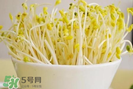 冬天可以發(fā)豆芽嗎？冬天怎樣發(fā)黃豆芽？