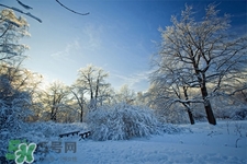 冬天怕冷吃什么好？冬天怕冷吃什么食物？