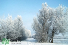 冬天怕冷吃什么好？冬天怕冷吃什么食物？