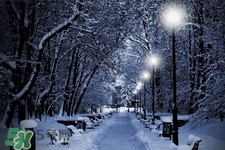 冬天怕冷吃什么好？冬天怕冷吃什么食物？