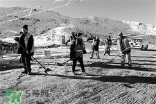 冬天怕冷吃什么好？冬天怕冷吃什么食物？