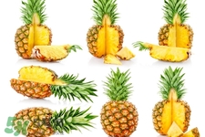 春節(jié)吃什么水果好？春節(jié)吃什么水果解油膩？