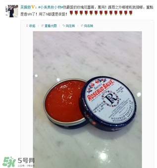 史密斯花蕾膏怎么用？史密斯花蕾膏使用方法