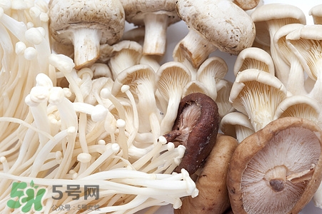 金針菇可以空腹吃嗎?空腹吃好嗎 金針菇可以空腹吃嗎?空腹吃好嗎