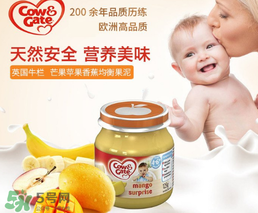 輔食泥哪個(gè)牌子好？輔食泥排行榜