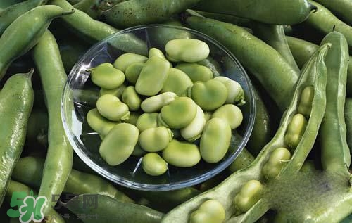 蠶豆糖尿病人可以吃嗎？糖尿病可以吃蠶豆嗎？