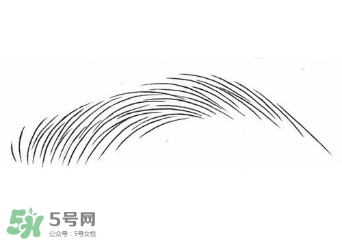 掉眉毛是怎么回事？掉眉毛還會(huì)長(zhǎng)嗎？