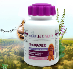 泰迪吃蝦紅素好嗎？蝦紅素的功效與作用