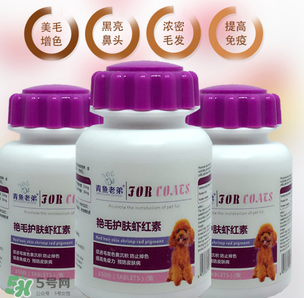 泰迪吃蝦紅素好嗎？蝦紅素的功效與作用