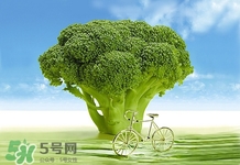 西蘭花變黃了還能吃嗎?西蘭花為什么會(huì)變黃 西蘭花變黃了還能吃嗎?西蘭花為什么會(huì)變黃