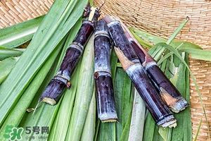 甘蔗皮有什么藥用功效？甘蔗皮的功效與作用