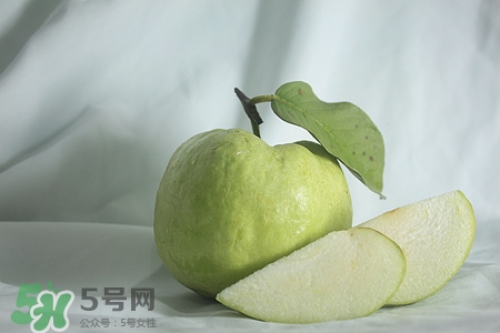 芭樂的籽可以吃嗎?芭樂籽的功效與作用 芭樂的籽可以吃嗎?芭樂籽的功效與作用