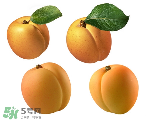 杏子核可以吃嗎?杏子核的功效與作用 杏子核可以吃嗎?杏子核的功效與作用