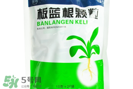 板藍根能天天喝嗎？板藍根可以經(jīng)常喝嗎？