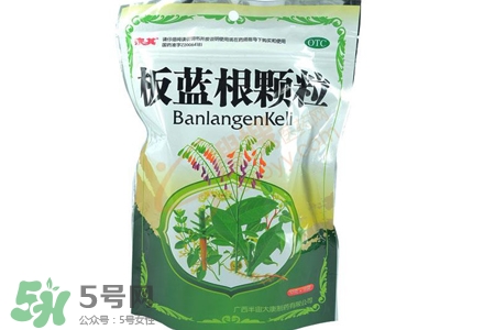 喝板藍根會胖嗎？板藍根喝多了會長胖嗎？