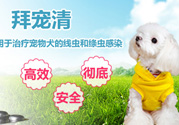 拜寵清要怎么喂？拜寵清驅(qū)蟲藥說明書