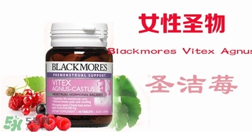 圣潔莓月經(jīng)期間可以吃嗎？圣潔莓不適人群