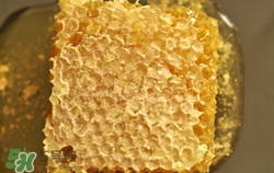 蜂巢蜜是什么蜜?蜂巢蜜和蜂蜜的區(qū)別 蜂巢蜜是什么蜜?蜂巢蜜和蜂蜜的區(qū)別