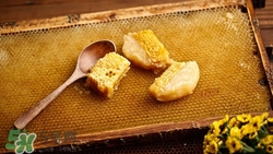 蜂巢蜜是什么蜜?蜂巢蜜和蜂蜜的區(qū)別 蜂巢蜜是什么蜜?蜂巢蜜和蜂蜜的區(qū)別