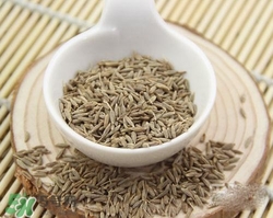 小茴香是孜然嗎？小茴香和孜然的區(qū)別