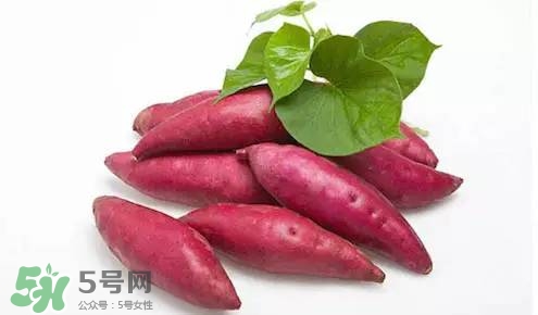 番薯葉孕婦可以吃嗎?孕婦吃番薯葉好嗎 番薯葉孕婦可以吃嗎?孕婦吃番薯葉好嗎