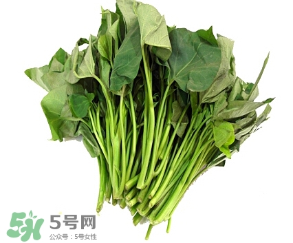 番薯葉孕婦可以吃嗎?孕婦吃番薯葉好嗎 番薯葉孕婦可以吃嗎?孕婦吃番薯葉好嗎