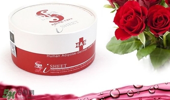 spa treatment是什么牌子？spa是什么檔次？