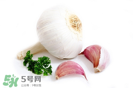 大蒜的根能吃嗎?大蒜根的功效作用 大蒜的根能吃嗎?大蒜根的功效作用