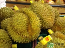 榴蓮的殼能吃嗎?榴蓮殼的功效與作用 榴蓮的殼能吃嗎?榴蓮殼的功效與作用