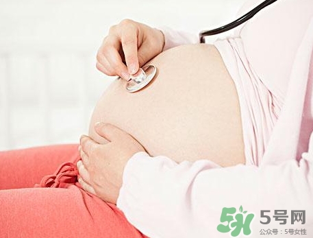 懷孕幾個月可以看出胎兒男女性別? 懷孕幾個月可以看出胎兒男女性別?