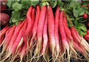 蘿卜根的營養(yǎng)價(jià)值 蘿卜根的功效與作用
