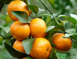 小橘子上火嗎？小橘子吃多了會(huì)上火嗎？