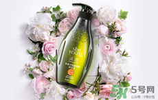 滋源洗發(fā)水怎么樣？滋源生姜洗發(fā)水怎么樣