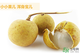 泰國龍眼的營養(yǎng)價值 泰國龍眼的功效與作用 泰國龍眼的營養(yǎng)價值 泰國龍眼的功效與作用