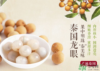 泰國龍眼的營養(yǎng)價值 泰國龍眼的功效與作用 泰國龍眼的營養(yǎng)價值 泰國龍眼的功效與作用