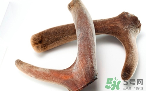 鹿茸吃了上火怎么辦?吃鹿茸上火怎么解決 鹿茸吃了上火怎么辦?吃鹿茸上火怎么解決