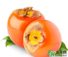 柿子籽能吃嗎？柿子籽的功效與作用