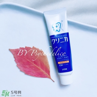 獅王牙膏保質(zhì)期怎么看？獅王牙膏保質(zhì)期是多久？