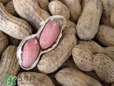花生衣怎么吃補血小板?花生皮的功效與作用