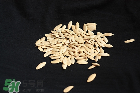 南瓜子可以帶皮吃嗎?南瓜子皮的功效與作用 南瓜子可以帶皮吃嗎?南瓜子皮的功效與作用