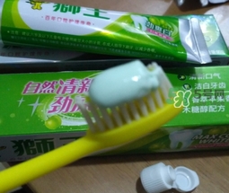 lion獅王是什么牌子？獅王是哪個(gè)國家的什么檔次？