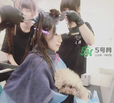 產(chǎn)后怎么護(hù)理頭發(fā)？生寶寶后頭發(fā)怎么護(hù)理