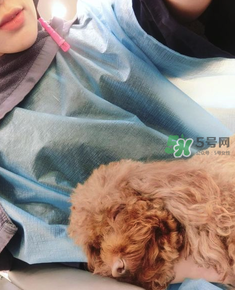 產(chǎn)后怎么護(hù)理頭發(fā)？生寶寶后頭發(fā)怎么護(hù)理