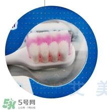 獅王牙刷怎么辨別真假？獅王牙刷真假對比